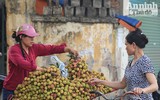 Tết Đoan Ngọ ở Hà Nội